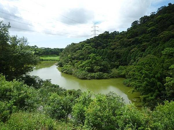 林美石磐步道.櫻花陵園.味珍香卜肉店.三星阿婆蔥餅.梅花湖.金車外澳伯朗咖啡館 040
