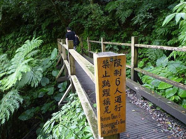 林美石磐步道.櫻花陵園.味珍香卜肉店.三星阿婆蔥餅.梅花湖.金車外澳伯朗咖啡館 126