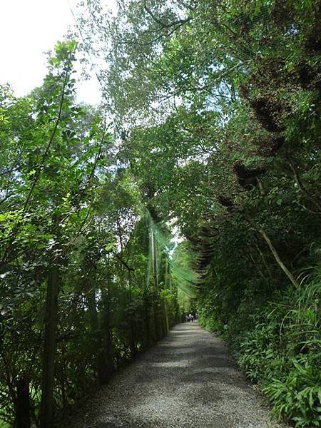 林美石磐步道.櫻花陵園.味珍香卜肉店.三星阿婆蔥餅.梅花湖.金車外澳伯朗咖啡館 136