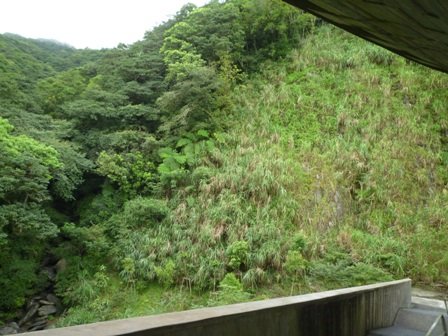 林美石磐步道.櫻花陵園.味珍香卜肉店.三星阿婆蔥餅.梅花湖.金車外澳伯朗咖啡館 164