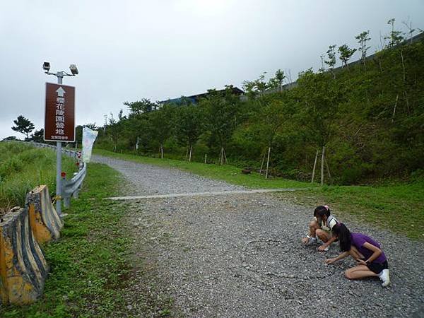 林美石磐步道.櫻花陵園.味珍香卜肉店.三星阿婆蔥餅.梅花湖.金車外澳伯朗咖啡館 168