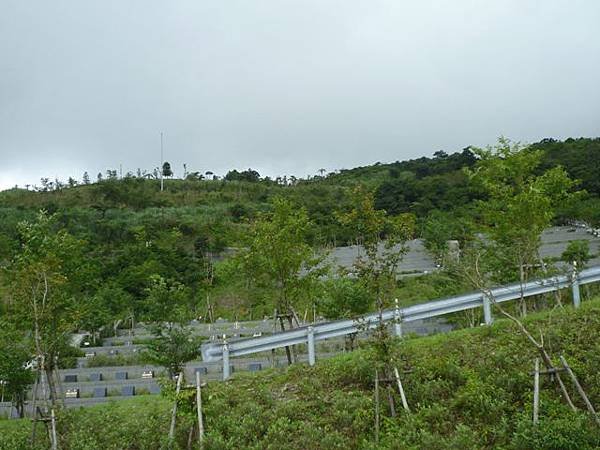 林美石磐步道.櫻花陵園.味珍香卜肉店.三星阿婆蔥餅.梅花湖.金車外澳伯朗咖啡館 177