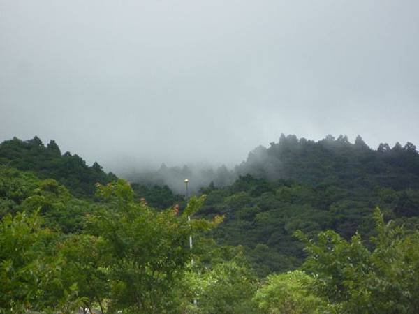 林美石磐步道.櫻花陵園.味珍香卜肉店.三星阿婆蔥餅.梅花湖.金車外澳伯朗咖啡館 189