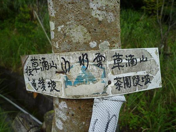 林美石磐步道.櫻花陵園.味珍香卜肉店.三星阿婆蔥餅.梅花湖.金車外澳伯朗咖啡館 197