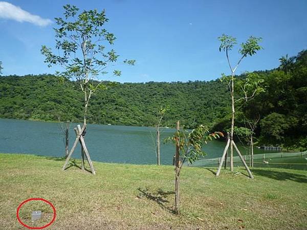 林美石磐步道.櫻花陵園.味珍香卜肉店.三星阿婆蔥餅.梅花湖.金車外澳伯朗咖啡館 245