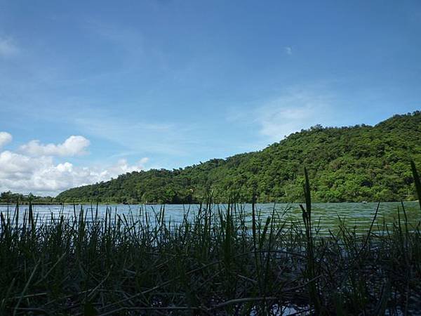 林美石磐步道.櫻花陵園.味珍香卜肉店.三星阿婆蔥餅.梅花湖.金車外澳伯朗咖啡館 265