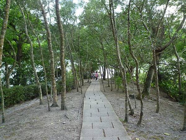 林美石磐步道.櫻花陵園.味珍香卜肉店.三星阿婆蔥餅.梅花湖.金車外澳伯朗咖啡館 310