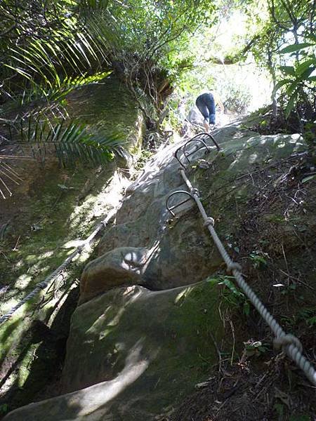 南港山攀岩全家福.南港山南峰.九五峰.南港山 056