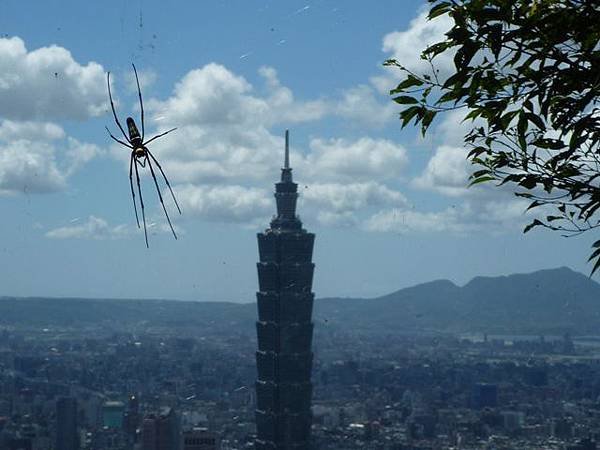 南港山攀岩全家福.南港山南峰.九五峰.南港山 059