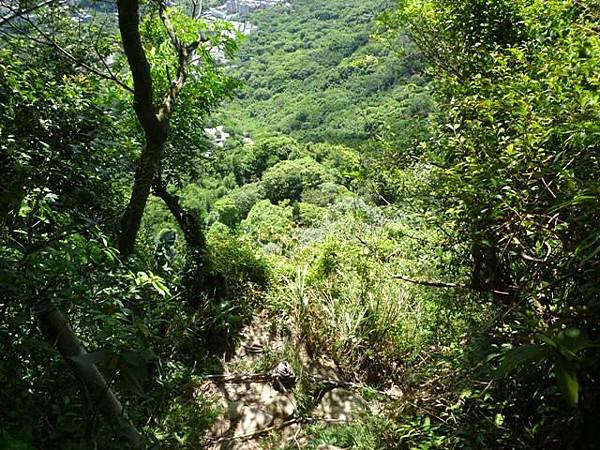 南港山攀岩全家福.南港山南峰.九五峰.南港山 060