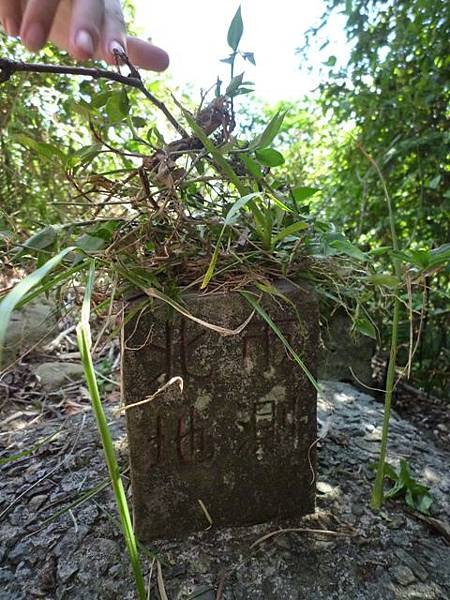 南港山攀岩全家福.南港山南峰.九五峰.南港山 073