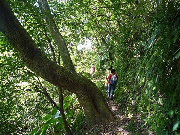 南港山攀岩全家福.南港山南峰.九五峰.南港山 101