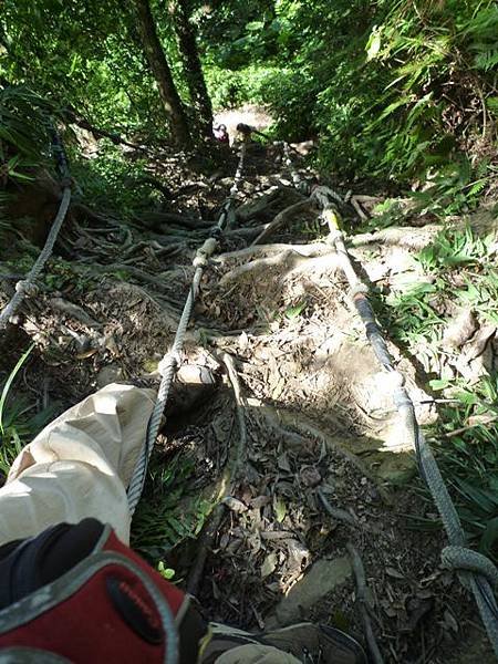 南港山攀岩全家福.南港山南峰.九五峰.南港山 111