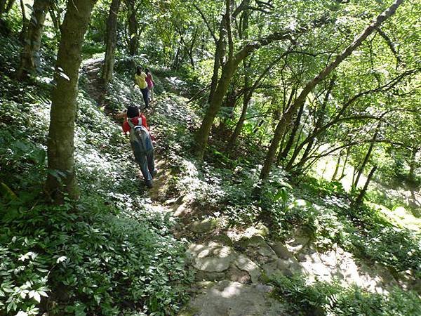 南港山攀岩全家福.南港山南峰.九五峰.南港山 164