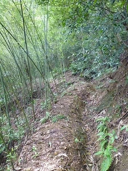 松柏山裝鑛務課230號基石.隆盛山.賴仲坑山 109