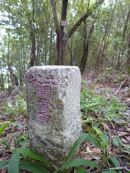 松柏山裝鑛務課230號基石.隆盛山.賴仲坑山 125