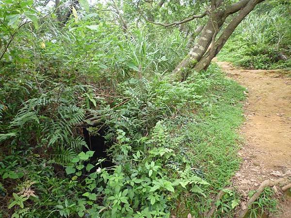 楊梅龜山.福人步道 150