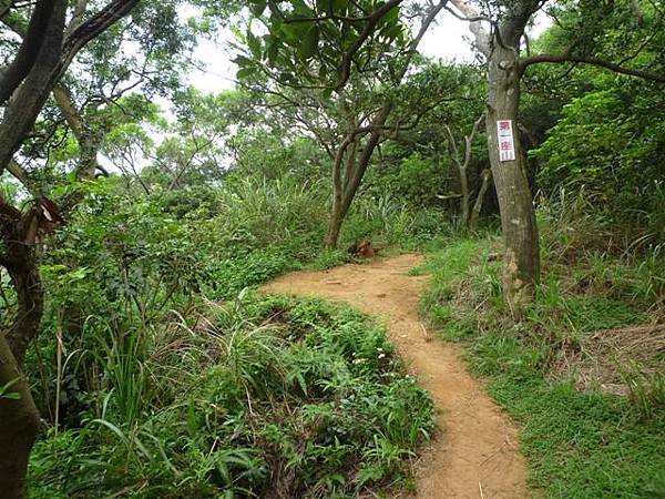 楊梅龜山.福人步道 151