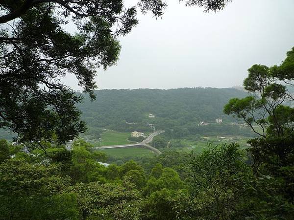 楊梅龜山.福人步道 153