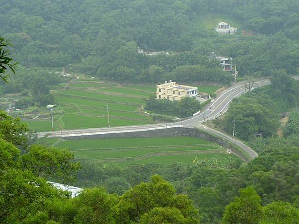 楊梅龜山.福人步道 154