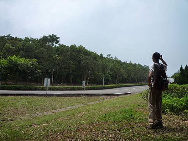 楊梅龜山.福人步道 162