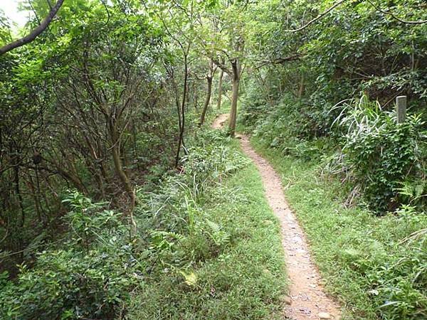 楊梅龜山.福人步道 164