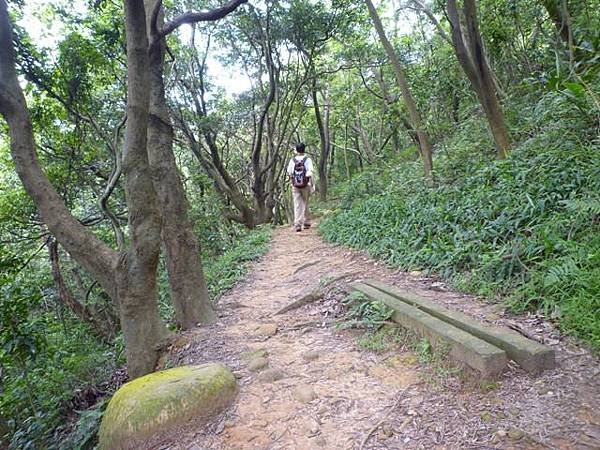 楊梅龜山.福人步道 165