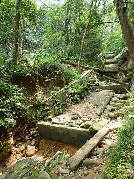 楊梅龜山.福人步道 167