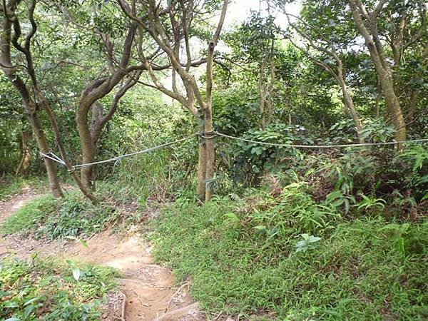 楊梅龜山.福人步道 172