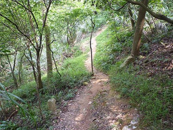 楊梅龜山.福人步道 176