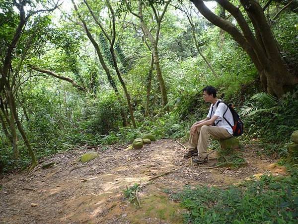 楊梅龜山.福人步道 179