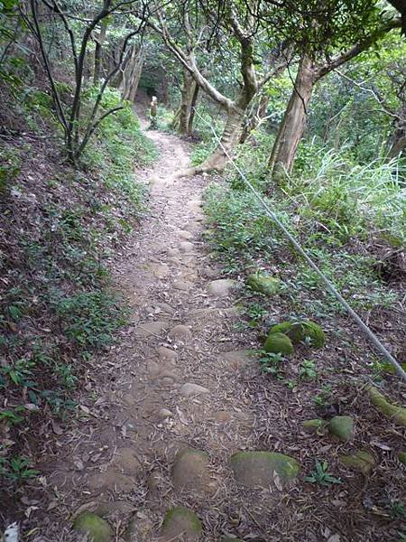 楊梅龜山.福人步道 180