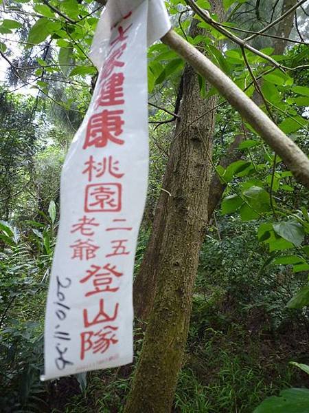 楊梅龜山.福人步道 185