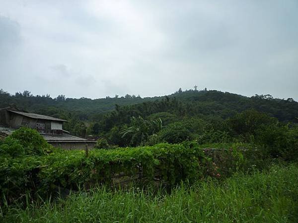 楊梅龜山.福人步道 208