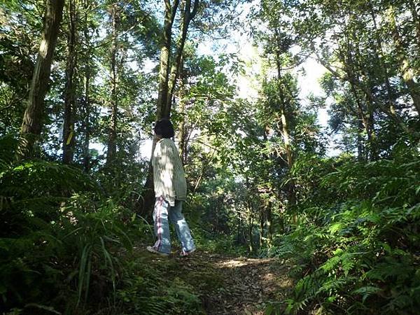 艷紅路子松柏山莊鑛務課230基石.嶺腳寮山.靈巖寺艷紅鹿子百合 028