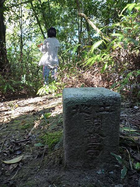 艷紅路子松柏山莊鑛務課230基石.嶺腳寮山.靈巖寺艷紅鹿子百合 038