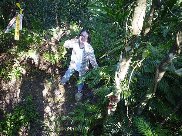 艷紅路子松柏山莊鑛務課230基石.嶺腳寮山.靈巖寺艷紅鹿子百合 042