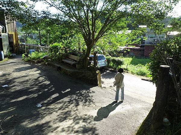 艷紅路子松柏山莊鑛務課230基石.嶺腳寮山.靈巖寺艷紅鹿子百合 052