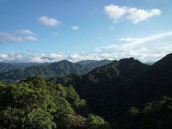 艷紅路子松柏山莊鑛務課230基石.嶺腳寮山.靈巖寺艷紅鹿子百合 090