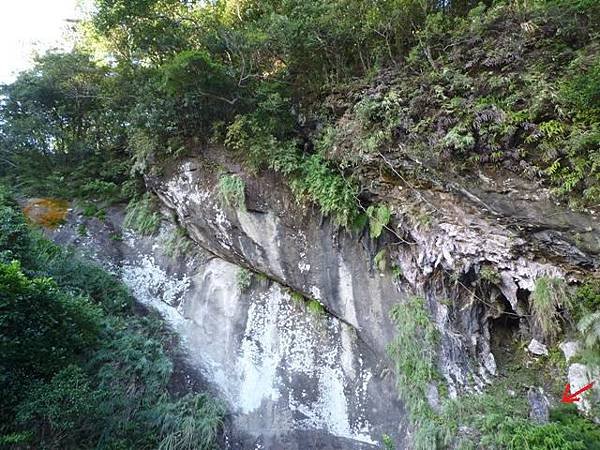 艷紅路子松柏山莊鑛務課230基石.嶺腳寮山.靈巖寺艷紅鹿子百合 103