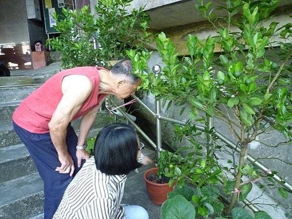 艷紅路子松柏山莊鑛務課230基石.嶺腳寮山.靈巖寺艷紅鹿子百合 116