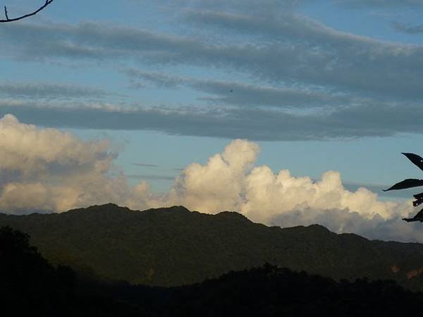 艷紅路子松柏山莊鑛務課230基石.嶺腳寮山.靈巖寺艷紅鹿子百合 125