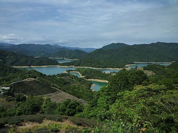 永安八卦茶園.金面大觀.虎字碑.鴻子口山.25號造林地基石 008