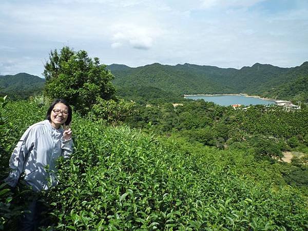 永安八卦茶園.金面大觀.虎字碑.鴻子口山.25號造林地基石 020