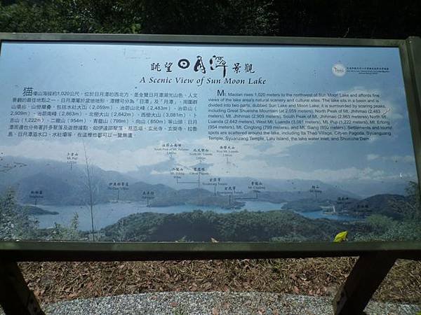 2012泳渡日月潭 513