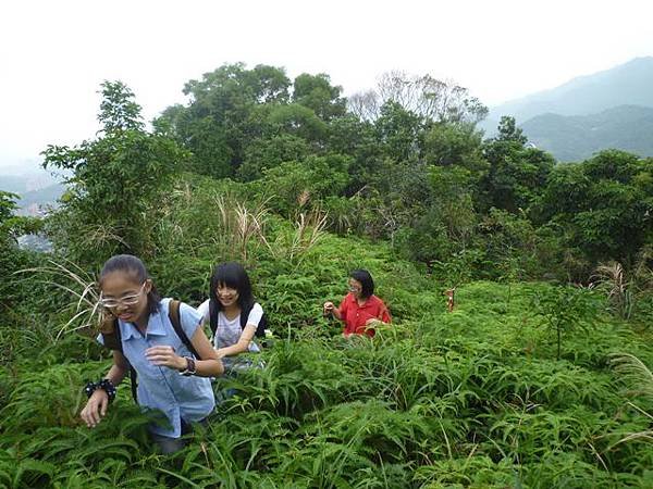 茅草埔山.四分里山.九五峰.南港山.拇指山.象山 076