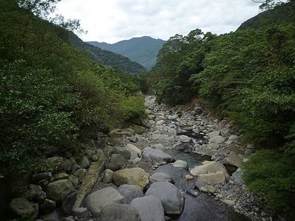 紅河谷越嶺古道熊空段.加九嶺 017