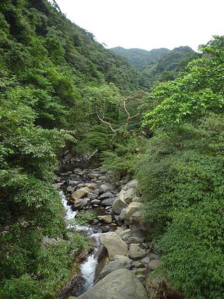 紅河谷越嶺古道熊空段.加九嶺 018