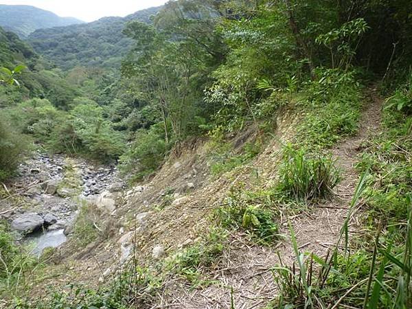 紅河谷越嶺古道熊空段.加九嶺 027