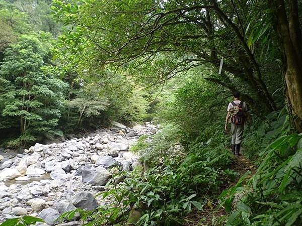 紅河谷越嶺古道熊空段.加九嶺 033